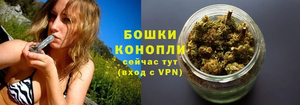 молекула духа Белоозёрский