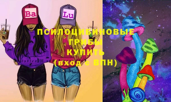 мдпв Белокуриха