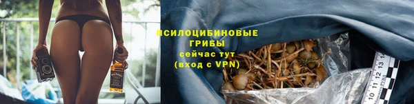 jwh Елабуга