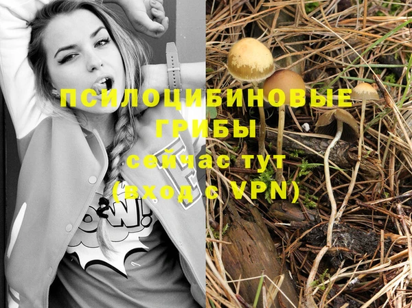 таблы Беломорск