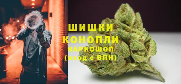 ПСИЛОЦИБИНОВЫЕ ГРИБЫ Заводоуковск