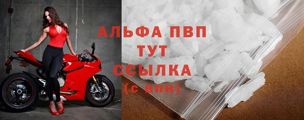 молекула духа Белоозёрский