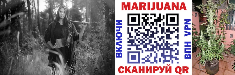 нарко площадка состав  ссылка на мегу рабочий сайт  Марихуана план  Ершов  где купить наркоту 